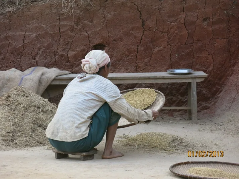 A woman working to provide for her family