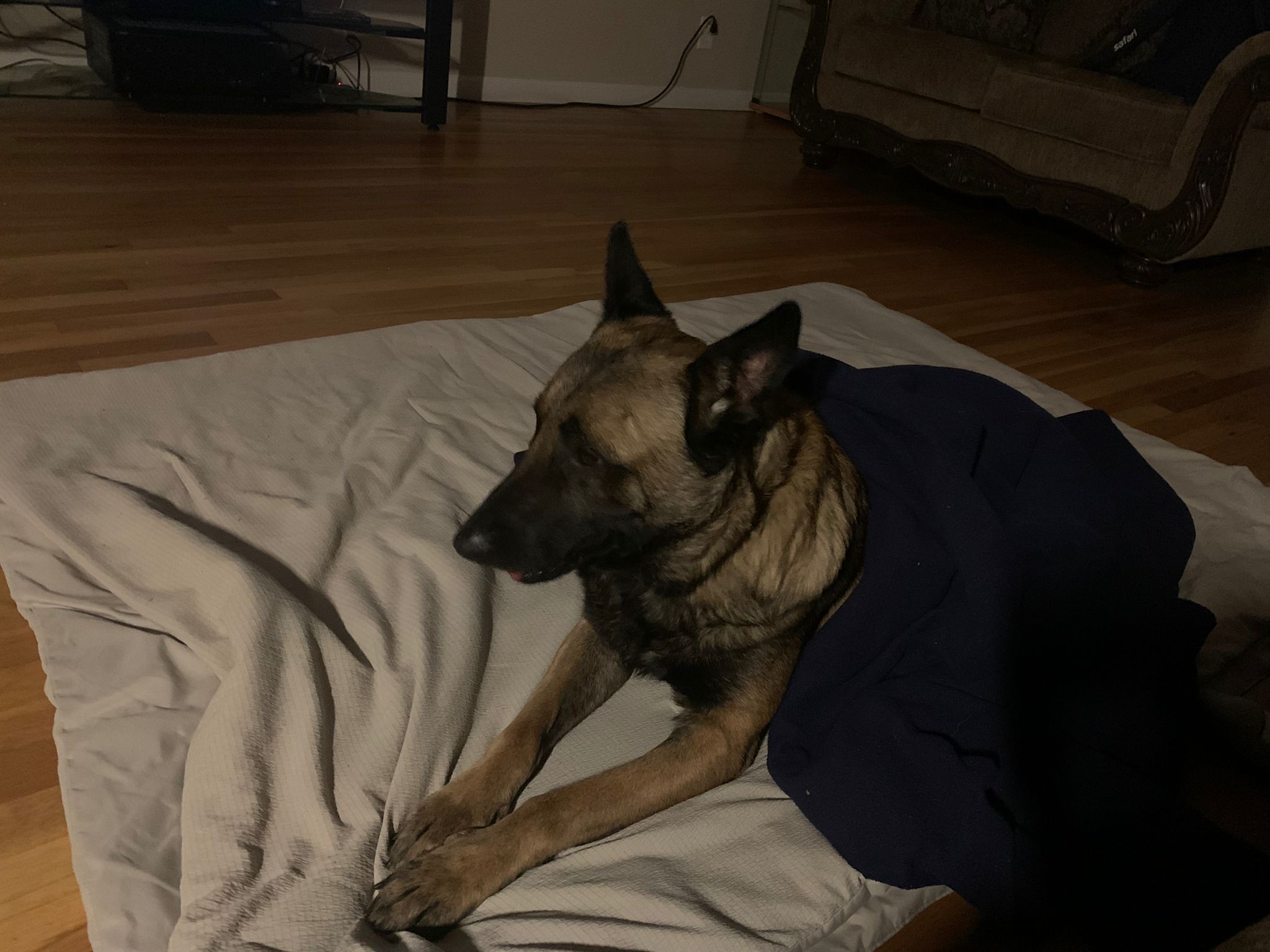I love it..when I am all cuddled up!